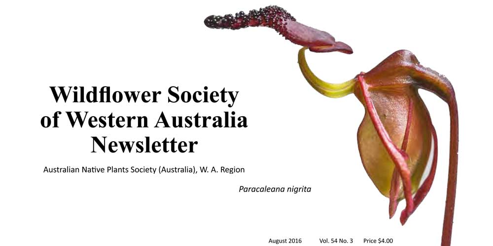Newsletter now available!