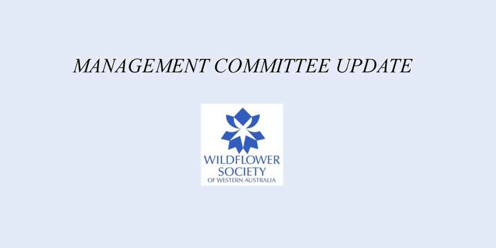 Management Committee update available