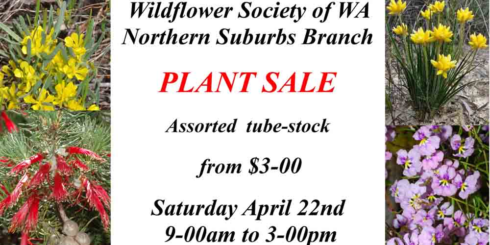 Plant List now available