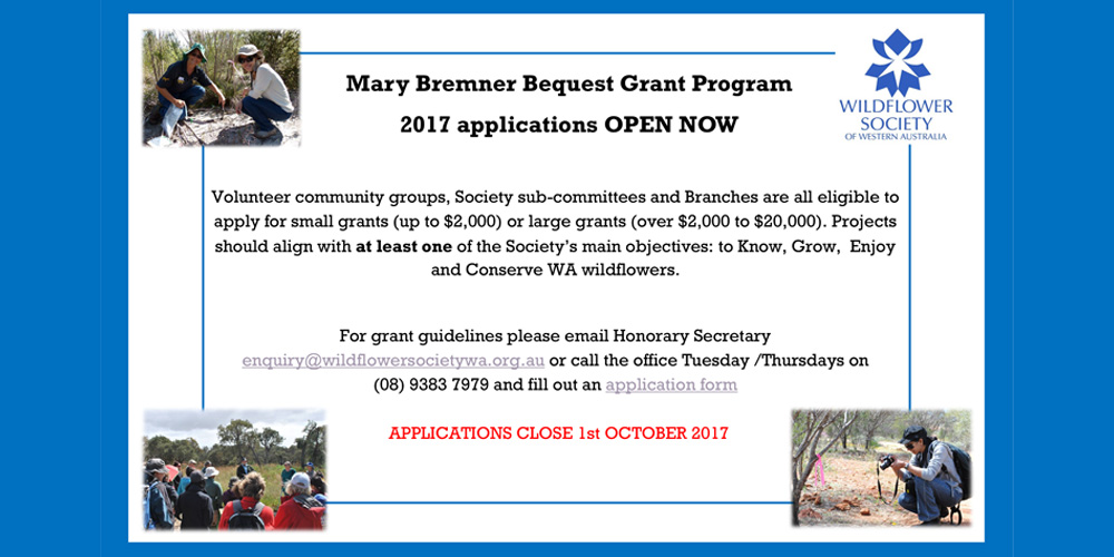The Mary Bremner Bequest Grant Programme is Open