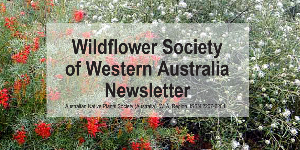Newsletter Now Available – Members Only