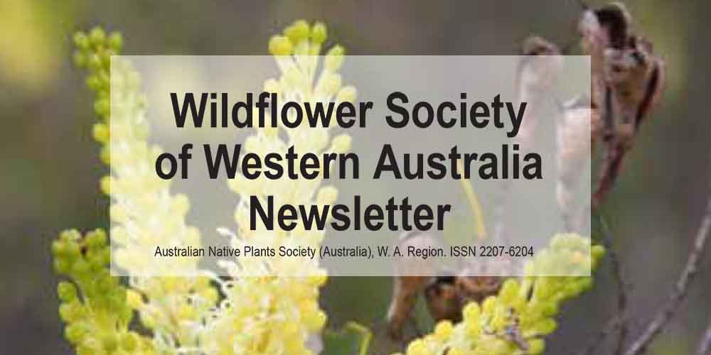 Newsletter now available – Members Only