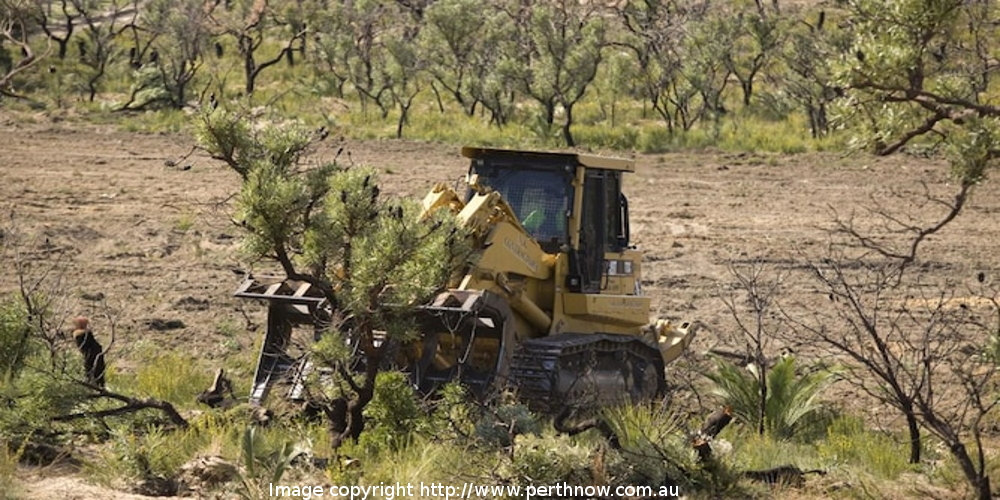 Land clearing: the big issues