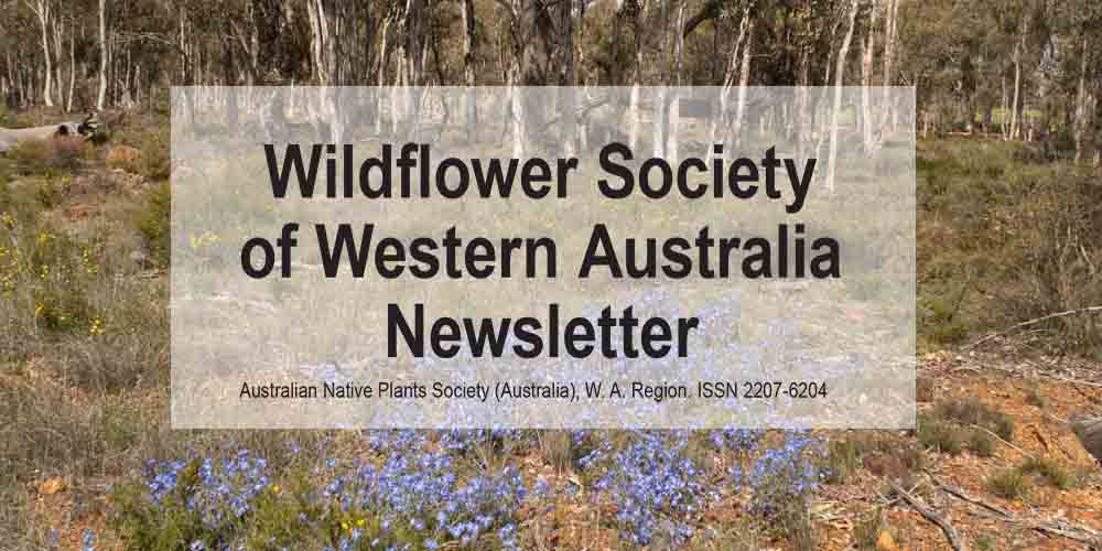 Newsletter now online – Members Only