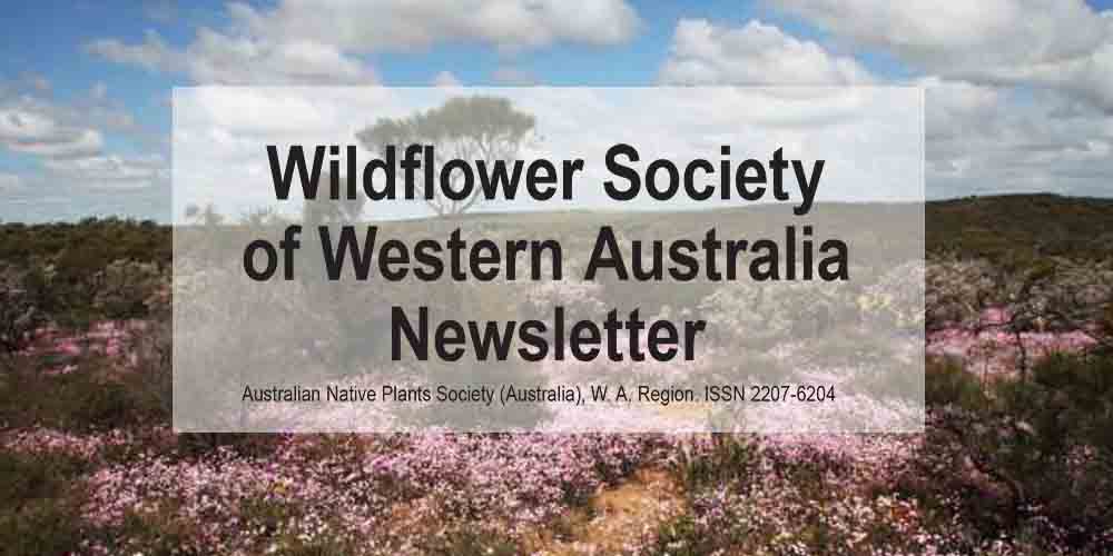 Newsletter Now Online – Members Only